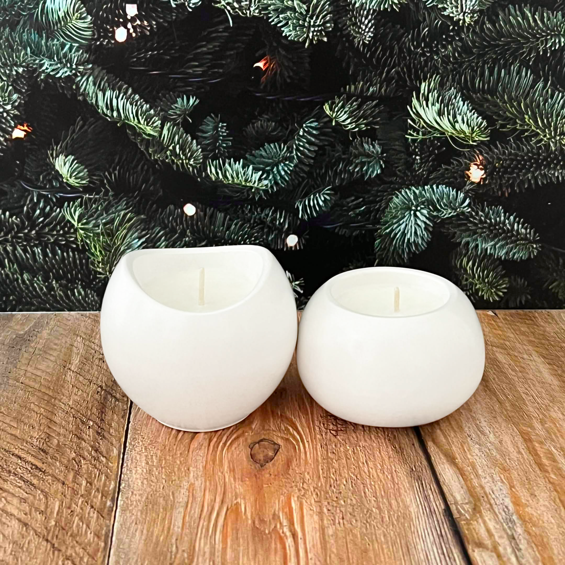 Colección Bosque